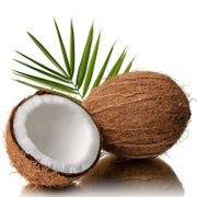 kokos